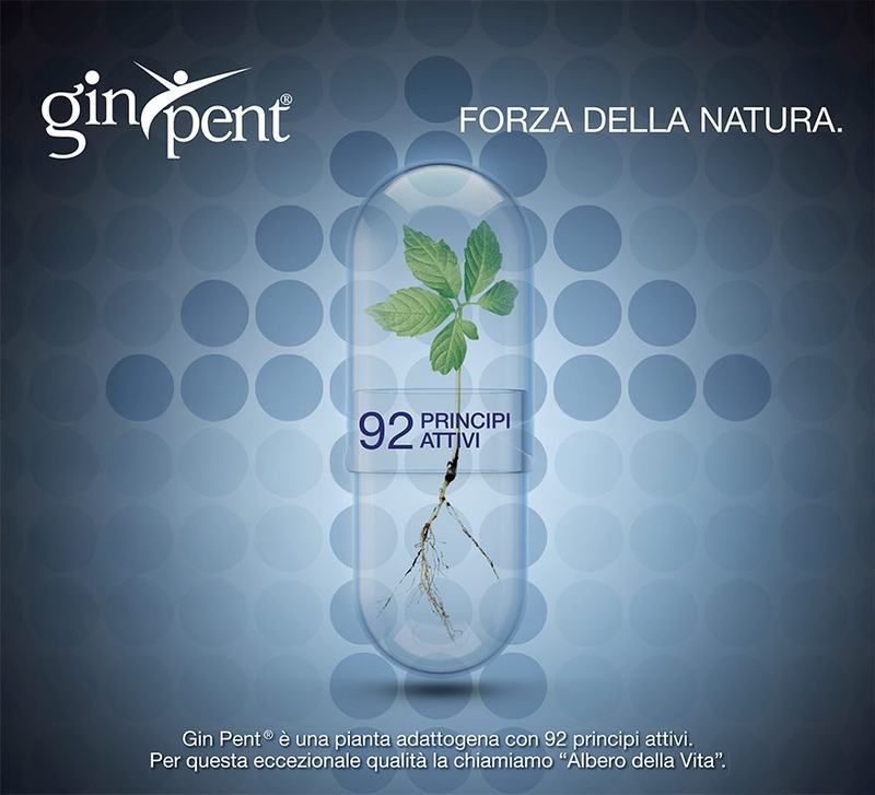 GinPent, forza della natura: pianta adattogena con 92 principi attivi, l'Albero della Vita